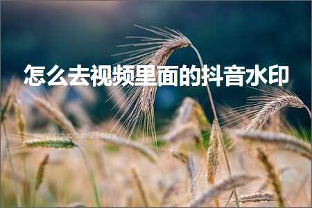 黄石技术服务发票 怎么去视频里面的抖音水印